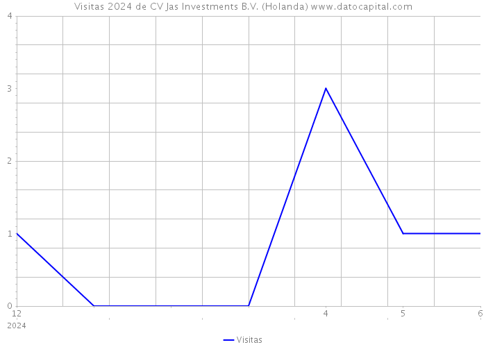 Visitas 2024 de CV Jas Investments B.V. (Holanda) 