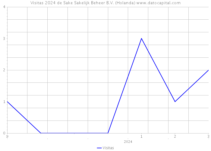 Visitas 2024 de Sake Sakelijk Beheer B.V. (Holanda) 