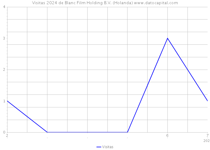 Visitas 2024 de Blanc Film Holding B.V. (Holanda) 
