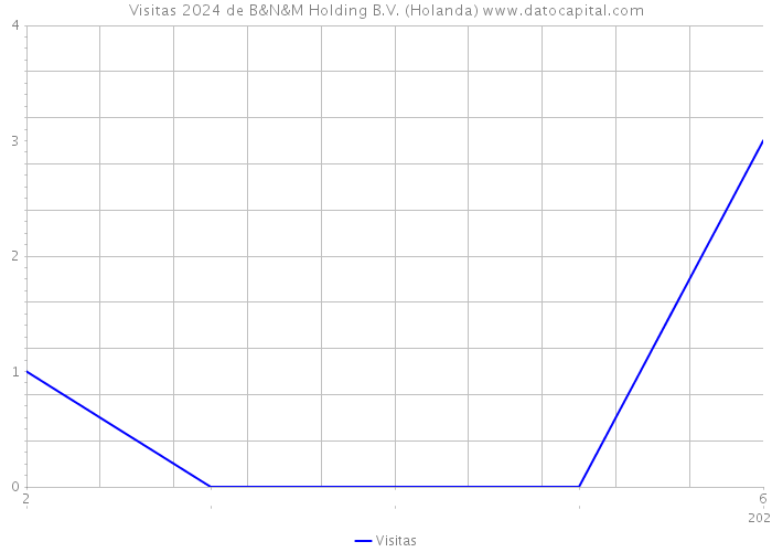 Visitas 2024 de B&N&M Holding B.V. (Holanda) 