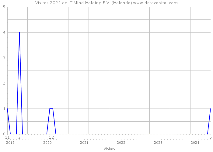 Visitas 2024 de IT Mind Holding B.V. (Holanda) 