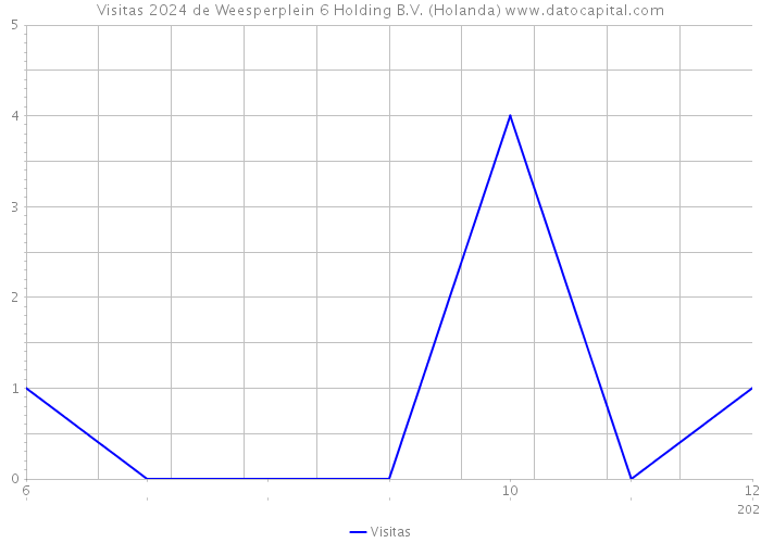 Visitas 2024 de Weesperplein 6 Holding B.V. (Holanda) 
