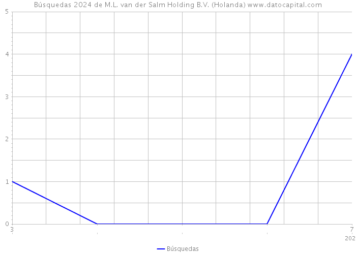 Búsquedas 2024 de M.L. van der Salm Holding B.V. (Holanda) 