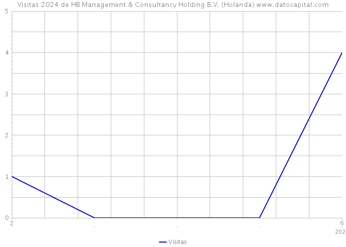 Visitas 2024 de HB Management & Consultancy Holding B.V. (Holanda) 
