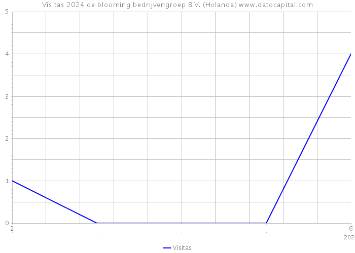 Visitas 2024 de blooming bedrijvengroep B.V. (Holanda) 