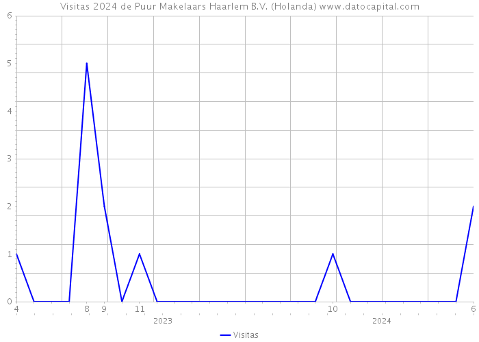 Visitas 2024 de Puur Makelaars Haarlem B.V. (Holanda) 