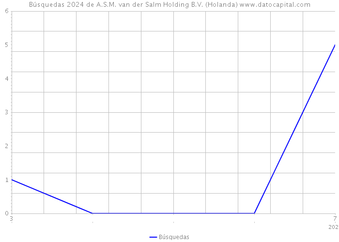 Búsquedas 2024 de A.S.M. van der Salm Holding B.V. (Holanda) 