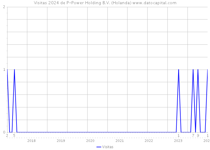 Visitas 2024 de P-Power Holding B.V. (Holanda) 