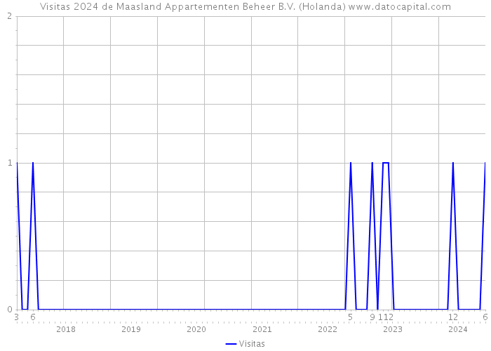 Visitas 2024 de Maasland Appartementen Beheer B.V. (Holanda) 