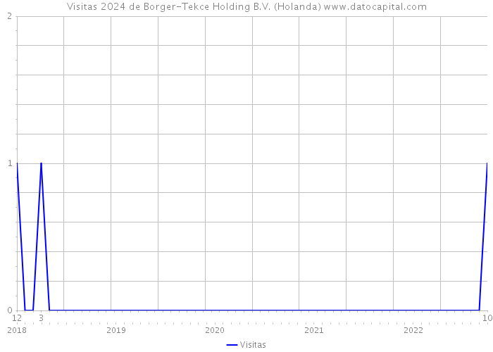 Visitas 2024 de Borger-Tekce Holding B.V. (Holanda) 