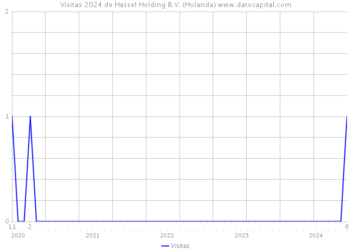 Visitas 2024 de Hassel Holding B.V. (Holanda) 