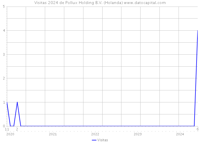 Visitas 2024 de Pollux Holding B.V. (Holanda) 