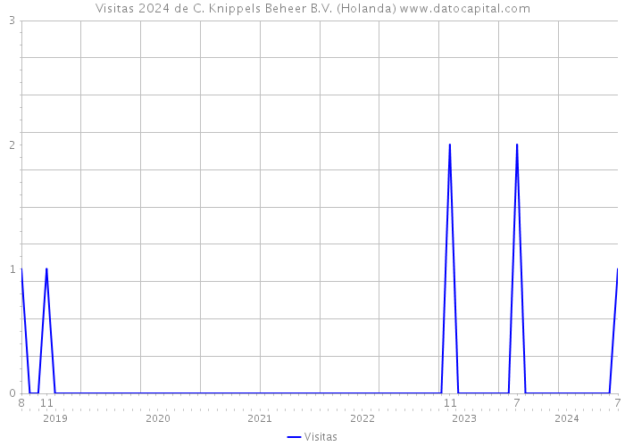 Visitas 2024 de C. Knippels Beheer B.V. (Holanda) 