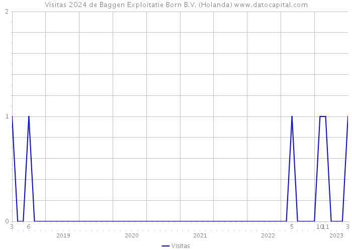 Visitas 2024 de Baggen Exploitatie Born B.V. (Holanda) 