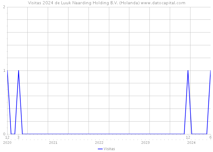 Visitas 2024 de Luuk Naarding Holding B.V. (Holanda) 