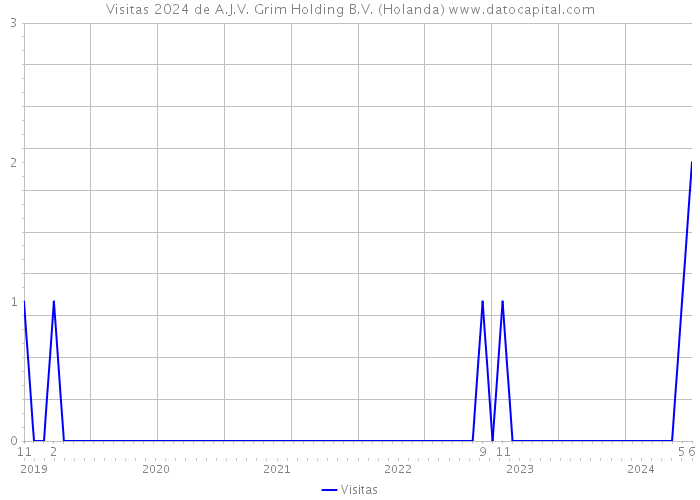 Visitas 2024 de A.J.V. Grim Holding B.V. (Holanda) 