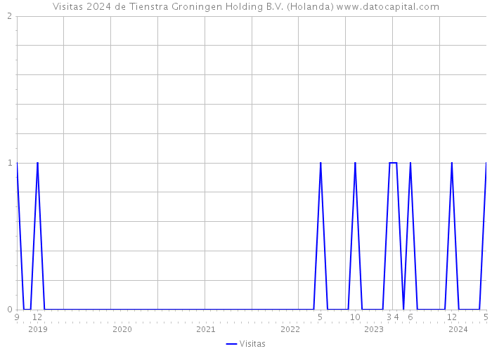 Visitas 2024 de Tienstra Groningen Holding B.V. (Holanda) 