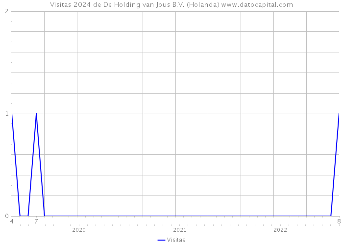 Visitas 2024 de De Holding van Jous B.V. (Holanda) 