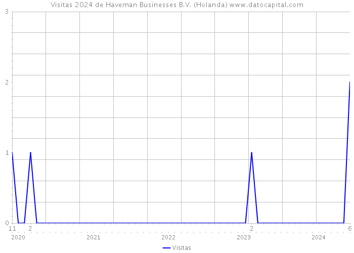 Visitas 2024 de Haveman Businesses B.V. (Holanda) 