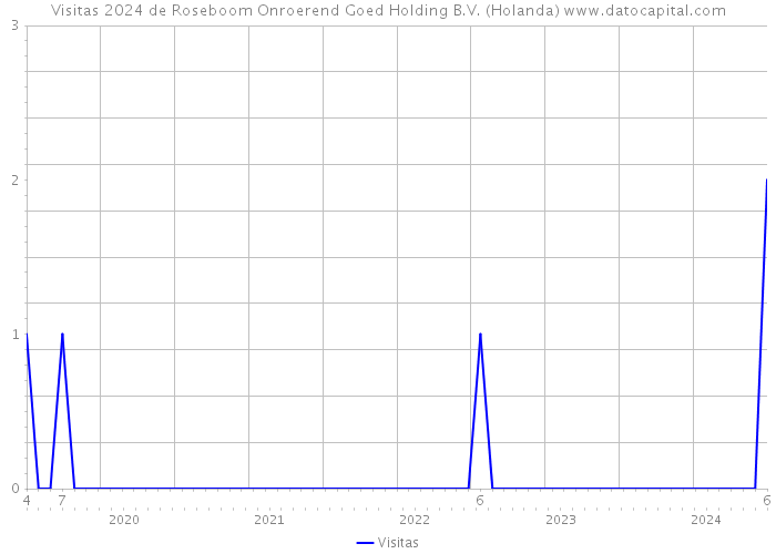 Visitas 2024 de Roseboom Onroerend Goed Holding B.V. (Holanda) 