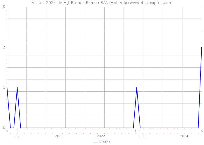 Visitas 2024 de H.J. Brands Beheer B.V. (Holanda) 