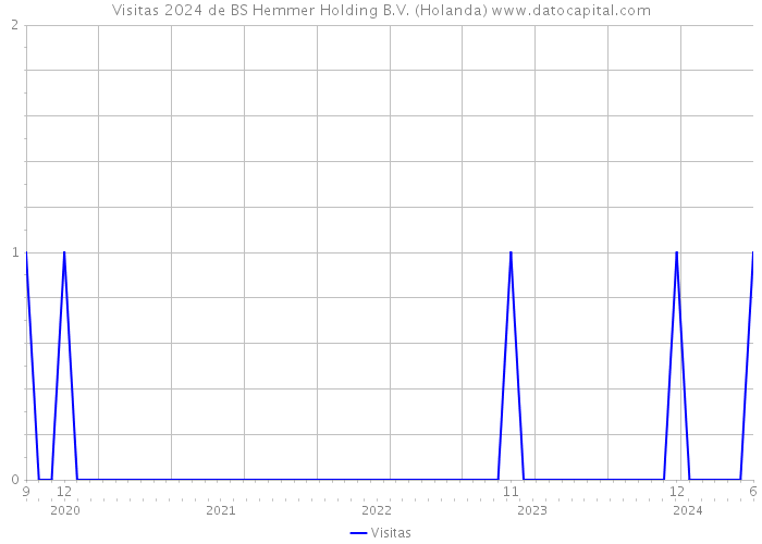 Visitas 2024 de BS Hemmer Holding B.V. (Holanda) 