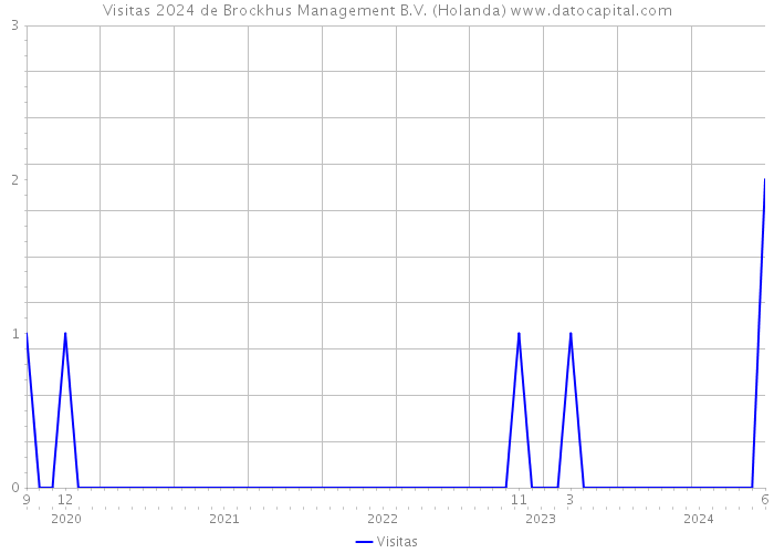 Visitas 2024 de Brockhus Management B.V. (Holanda) 