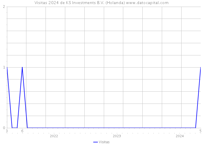Visitas 2024 de KS Investments B.V. (Holanda) 