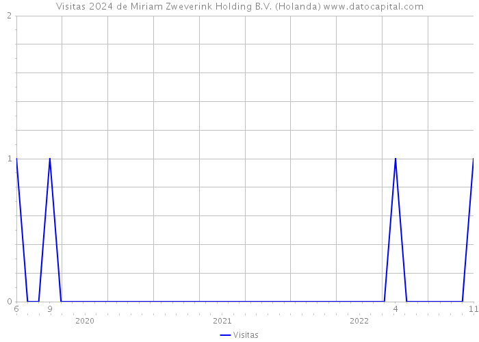 Visitas 2024 de Miriam Zweverink Holding B.V. (Holanda) 