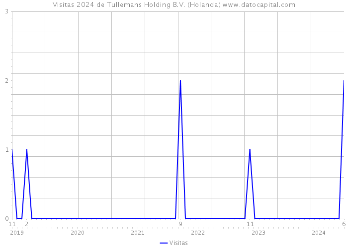 Visitas 2024 de Tullemans Holding B.V. (Holanda) 