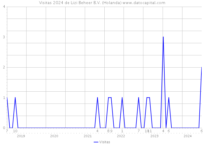 Visitas 2024 de Lizi Beheer B.V. (Holanda) 