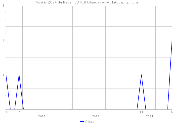 Visitas 2024 de Rebel It B.V. (Holanda) 