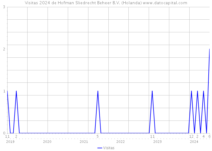 Visitas 2024 de Hofman Sliedrecht Beheer B.V. (Holanda) 