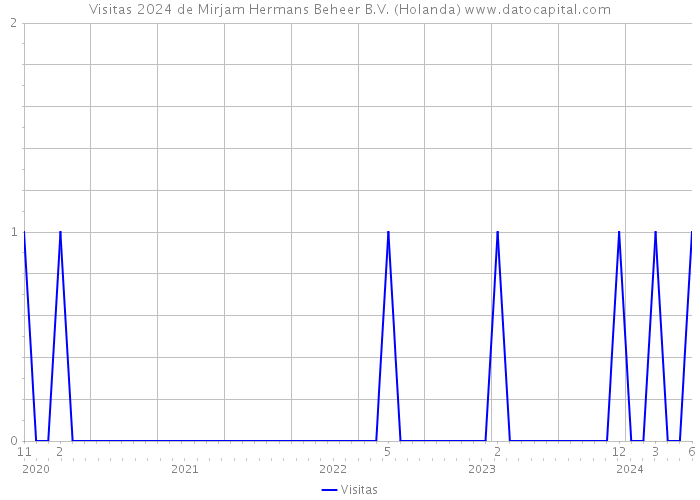 Visitas 2024 de Mirjam Hermans Beheer B.V. (Holanda) 