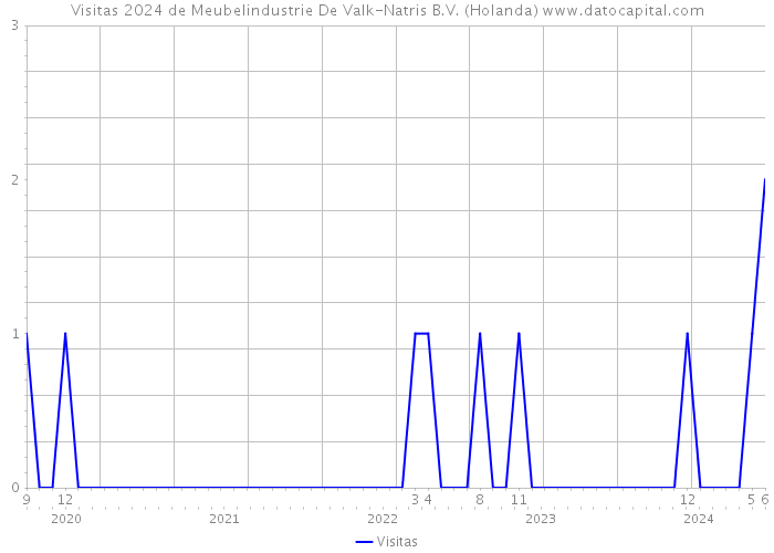 Visitas 2024 de Meubelindustrie De Valk-Natris B.V. (Holanda) 