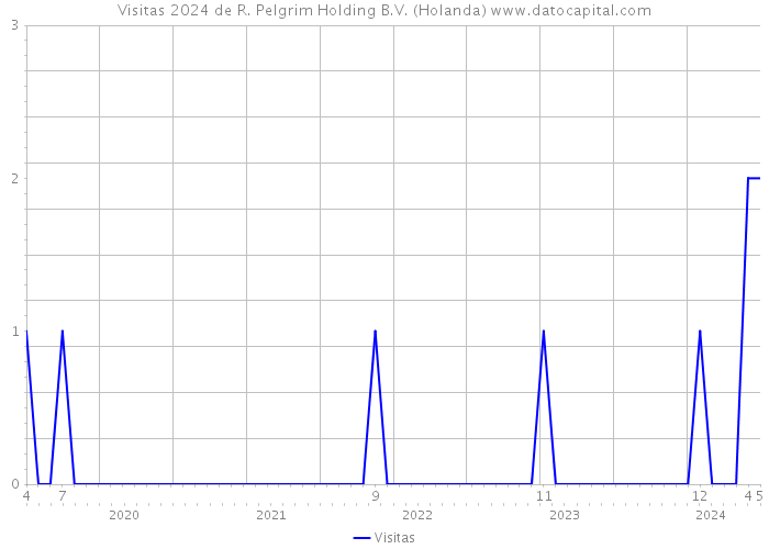 Visitas 2024 de R. Pelgrim Holding B.V. (Holanda) 