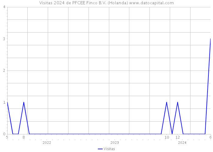 Visitas 2024 de PFCEE Finco B.V. (Holanda) 