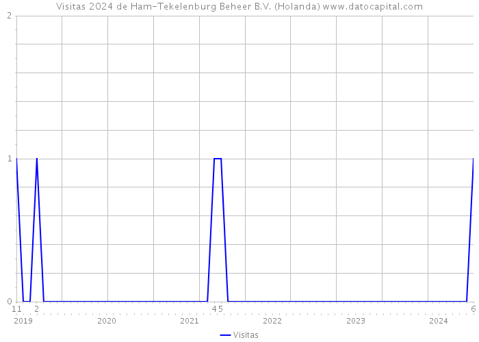 Visitas 2024 de Ham-Tekelenburg Beheer B.V. (Holanda) 