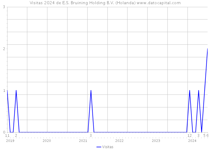 Visitas 2024 de E.S. Bruining Holding B.V. (Holanda) 