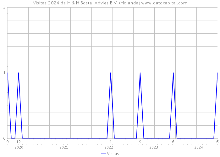 Visitas 2024 de H & H Bosta-Advies B.V. (Holanda) 