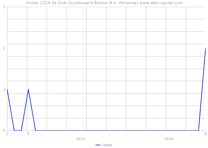 Visitas 2024 de Dick Goudswaard Beheer B.V. (Holanda) 