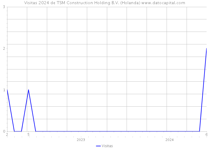 Visitas 2024 de TSM Construction Holding B.V. (Holanda) 