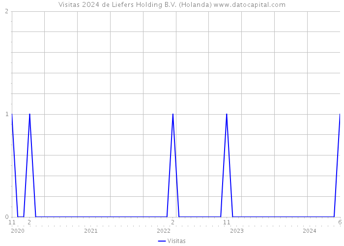 Visitas 2024 de Liefers Holding B.V. (Holanda) 