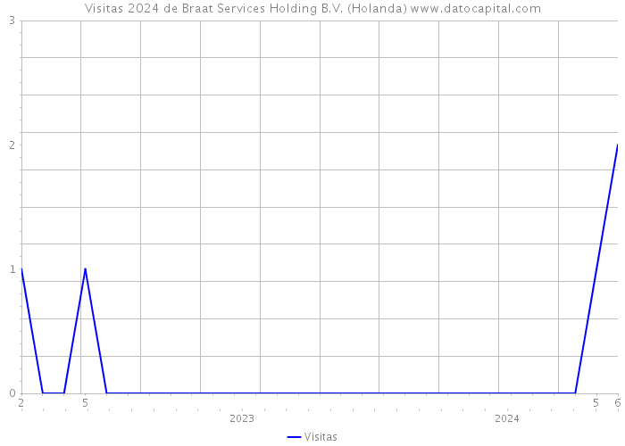 Visitas 2024 de Braat Services Holding B.V. (Holanda) 