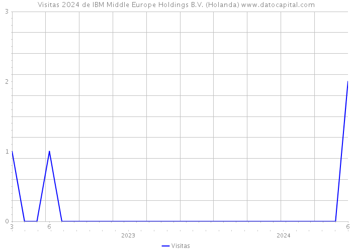 Visitas 2024 de IBM Middle Europe Holdings B.V. (Holanda) 