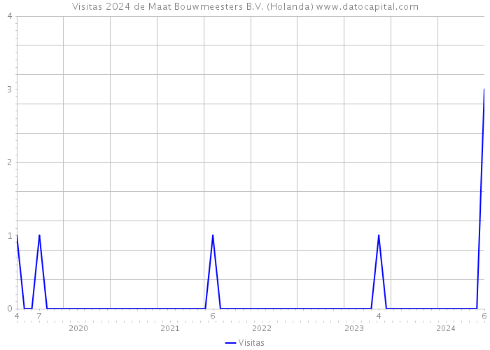 Visitas 2024 de Maat Bouwmeesters B.V. (Holanda) 