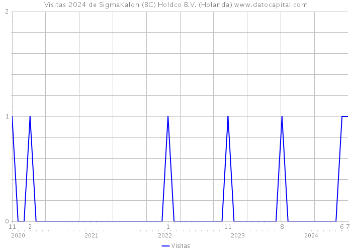 Visitas 2024 de SigmaKalon (BC) Holdco B.V. (Holanda) 