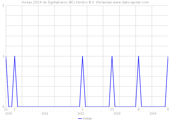 Visitas 2024 de SigmaKalon (BC) Holdco B.V. (Holanda) 