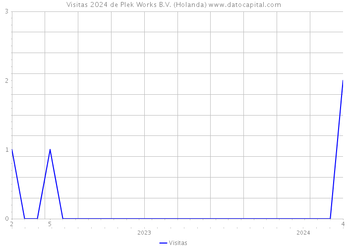 Visitas 2024 de Plek Works B.V. (Holanda) 