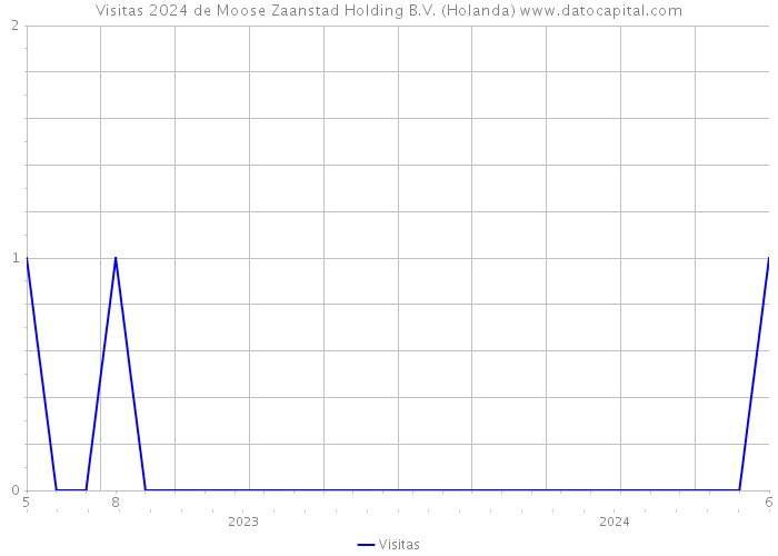 Visitas 2024 de Moose Zaanstad Holding B.V. (Holanda) 